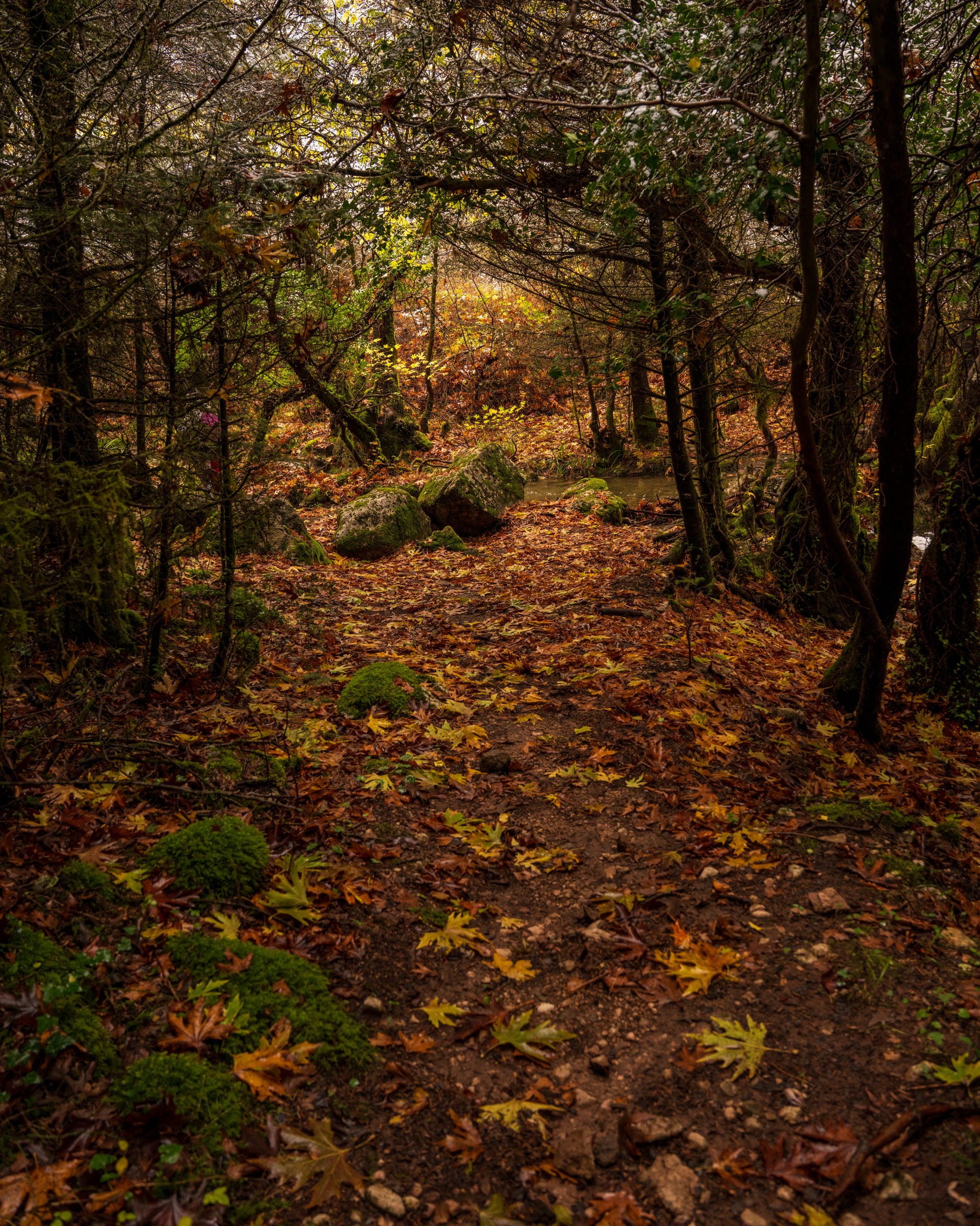 TREKKING