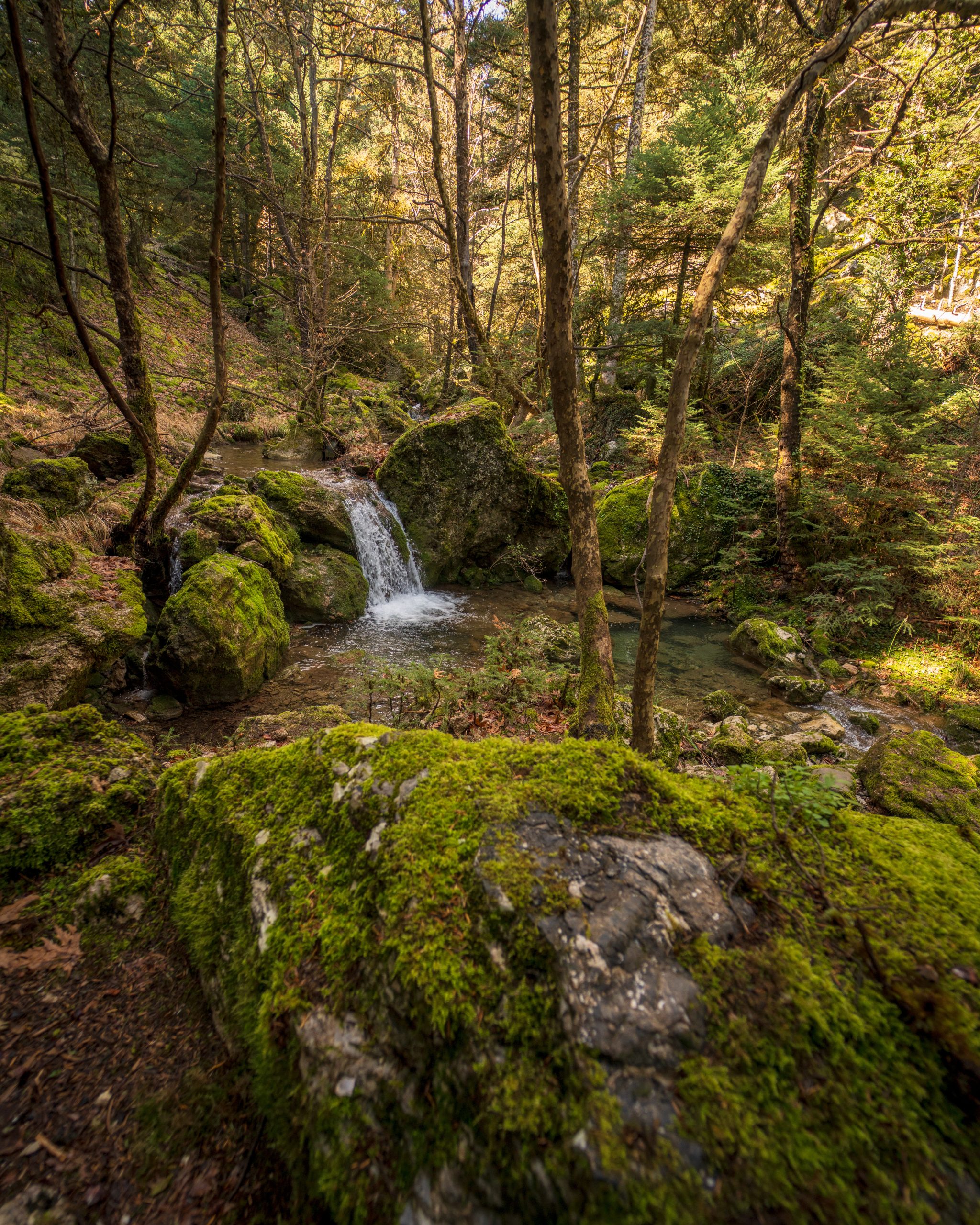 TREKKING