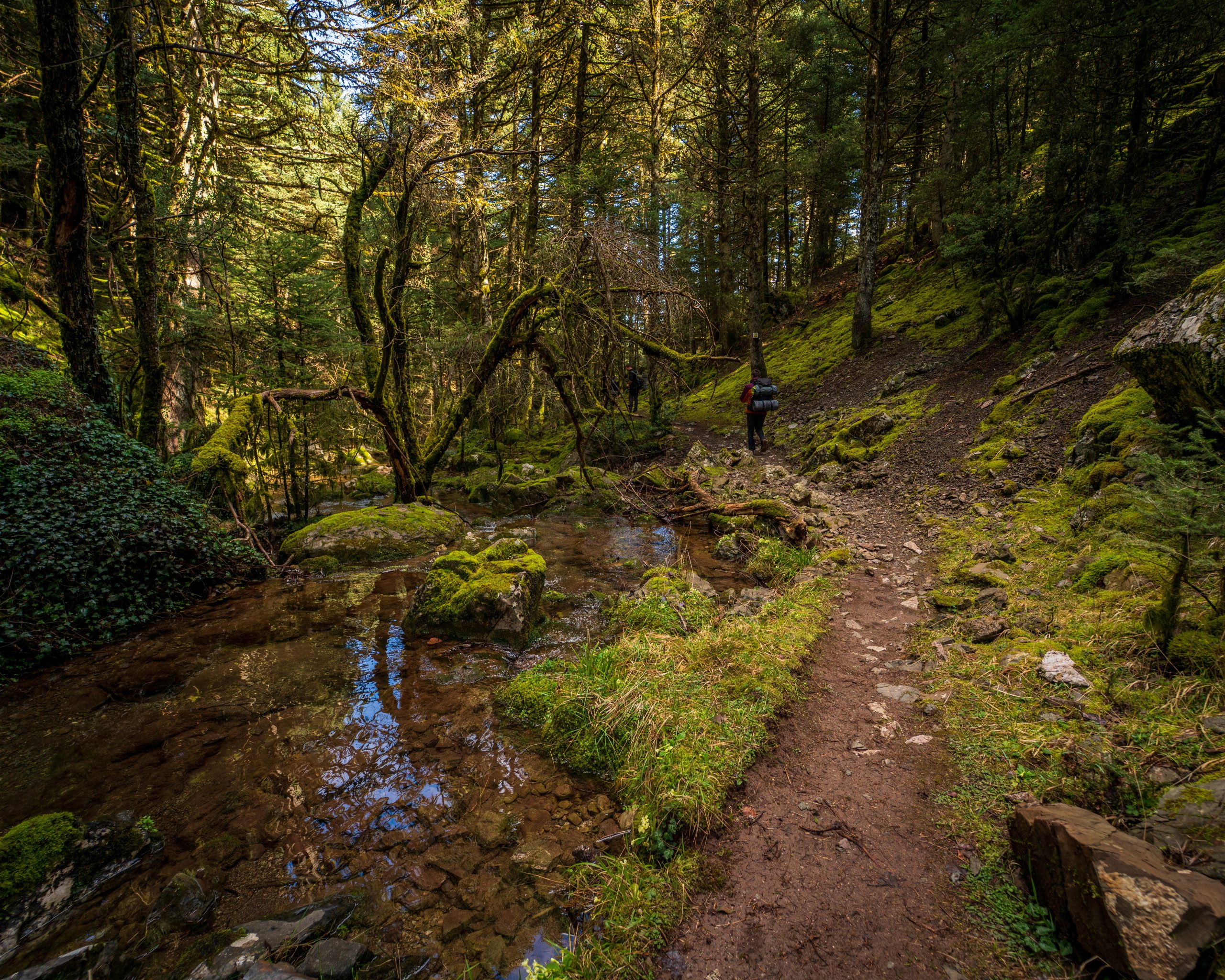TREKKING