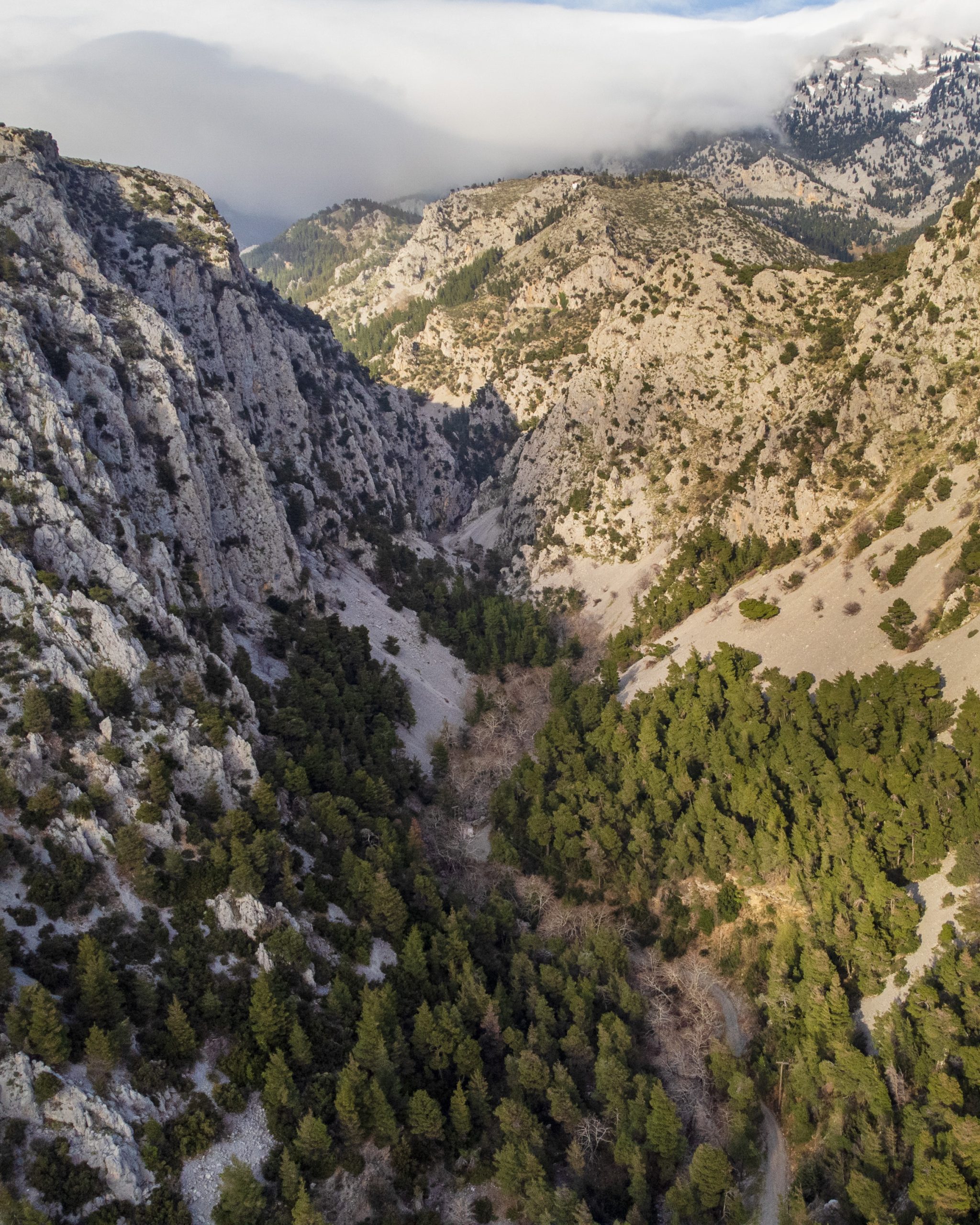 DJI_0122