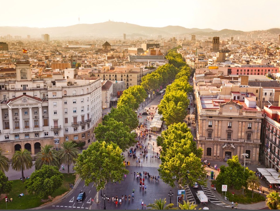 bcn2