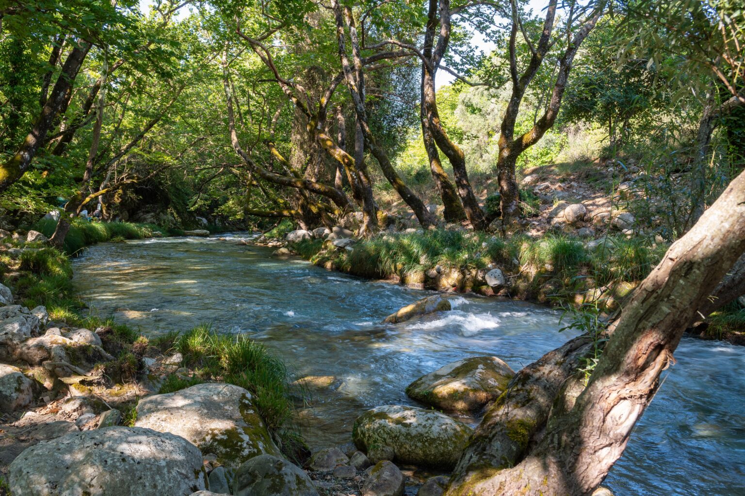 Φαράγγι Λούσιου